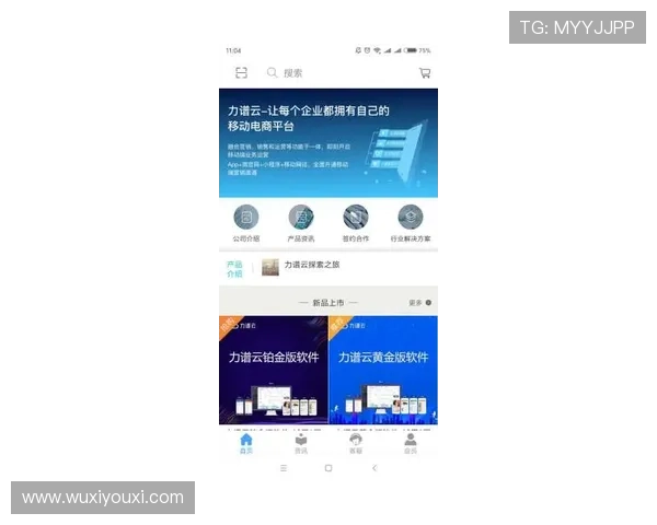 开云线上官网会员制度详解，尊享专属福利与个性化定制服务
