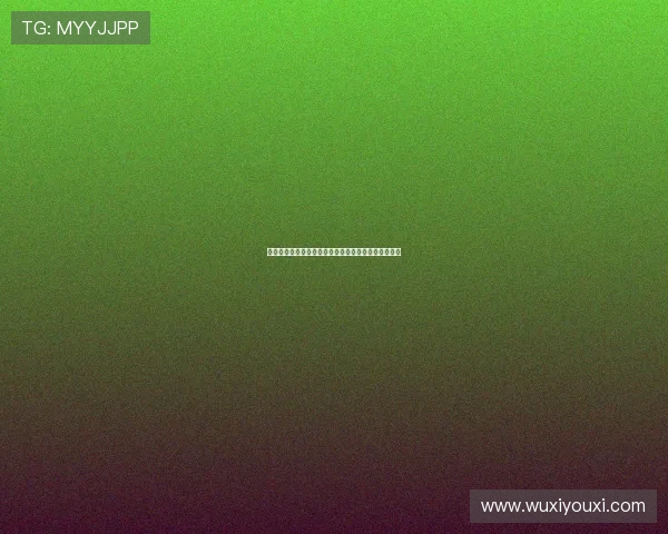 开云网站的安全性分析，保障你的个人信息与支付安全