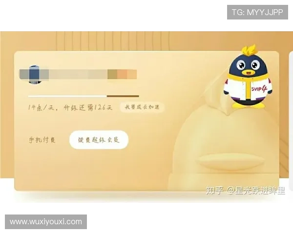 ybapp会员登录流程详解帮助用户快速顺利登录账号