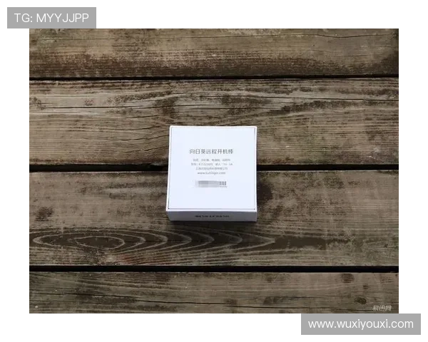 开云官方入口：如何通过官方入口安全便捷地购买开云旗下所有品牌商品