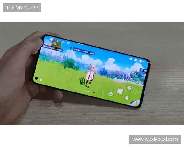 开云电竞手机版APP：便捷的操作界面带来流畅的游戏体验