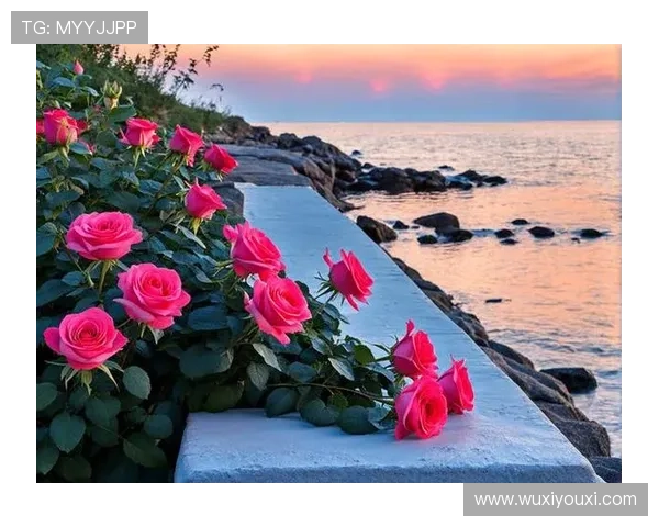 探索开运入口的奥秘,开启人生新篇章的关键所在 探索开运入口的奥秘,开启人生新篇章的关键所在