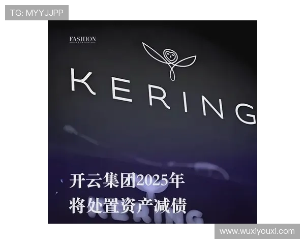 分析开云集团成功背后的管理模式与企业文化对行业竞争力的巨大推动作用 分析开云集团成功背后的管理模式与企业文化对行业竞争力的巨大推动作用